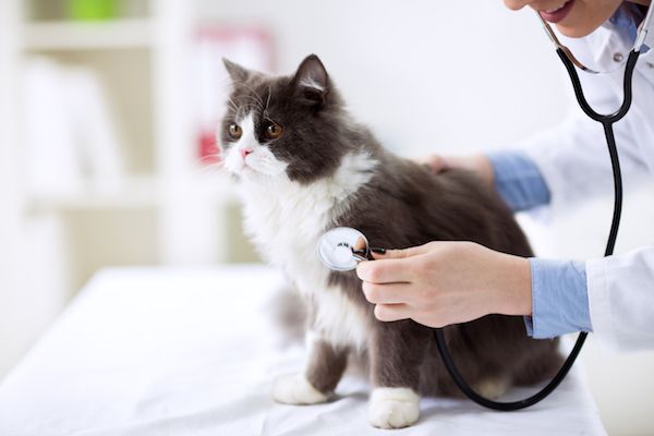 Medicare-Therapieabdeckung für Lymphödeme