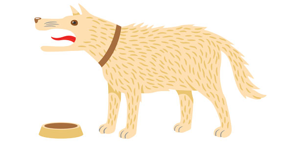 Bergwerk!  Wie man mit einem Hund umgeht, der Wachen hält
