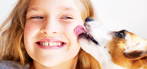 Kinder und Hunde