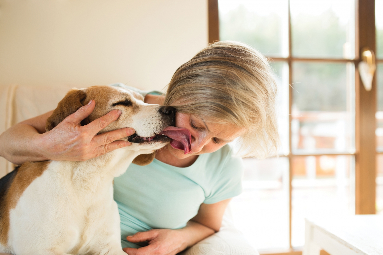 19 Hundegesten und was sie bedeuten