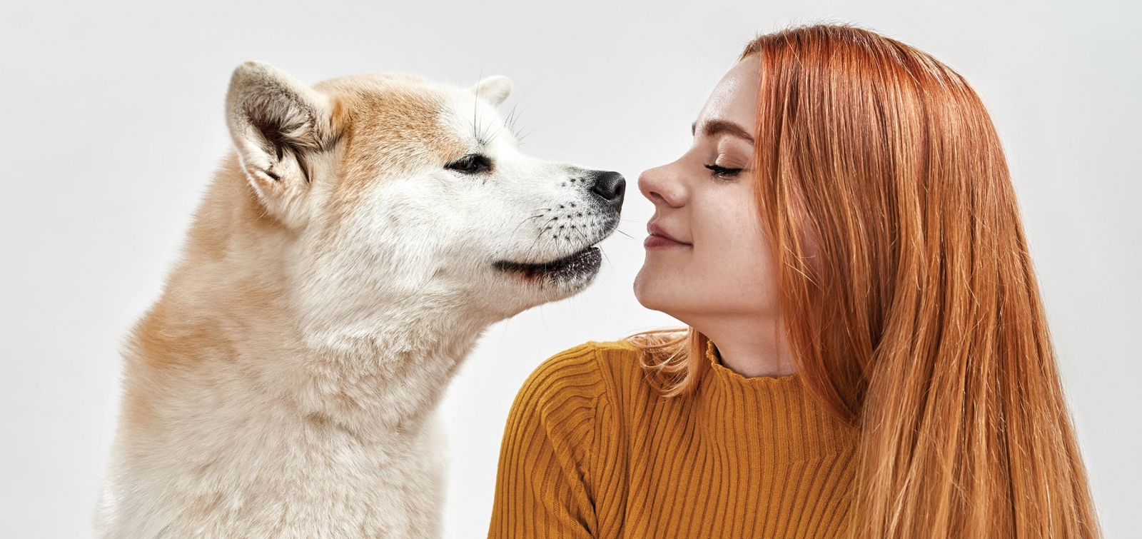 Warum folgt mir mein Hund überall hin?