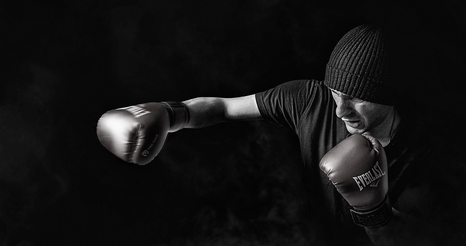 Boxer Hund: Die Sportliche Rasse – Charakter und Haltung