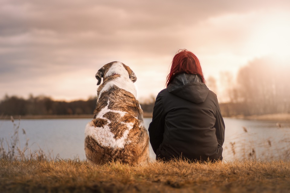 Hund Frisst Gras: Ursachen und Bedeutung