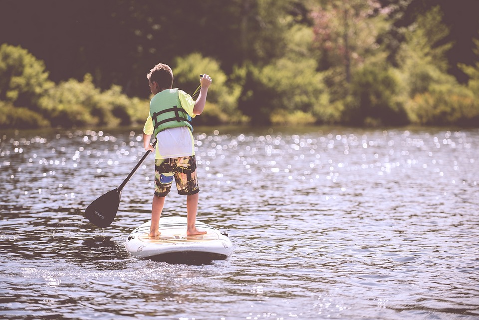 Schwimmweste Hund: Sicherheit beim Wassersport