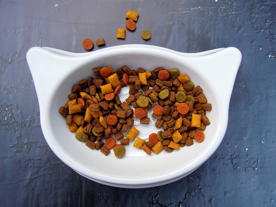 Trockenfutter Katze: Ernährungstipps und Produktvergleich