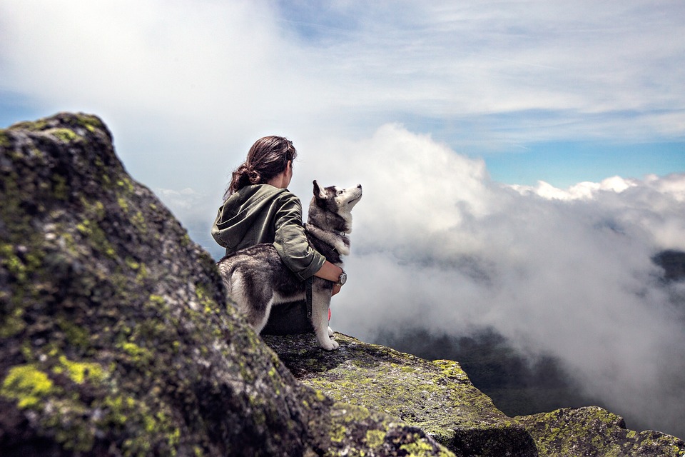 Die häufigsten Hundeallergien und wie man sie behandelt