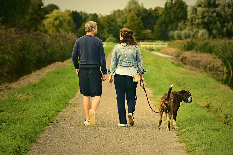 Hunde und das Band zwischen Besitzern und ihren Hunden