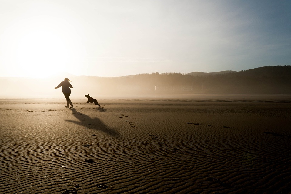 Hunde und das Phänomen des \Hundeschnüffelns\