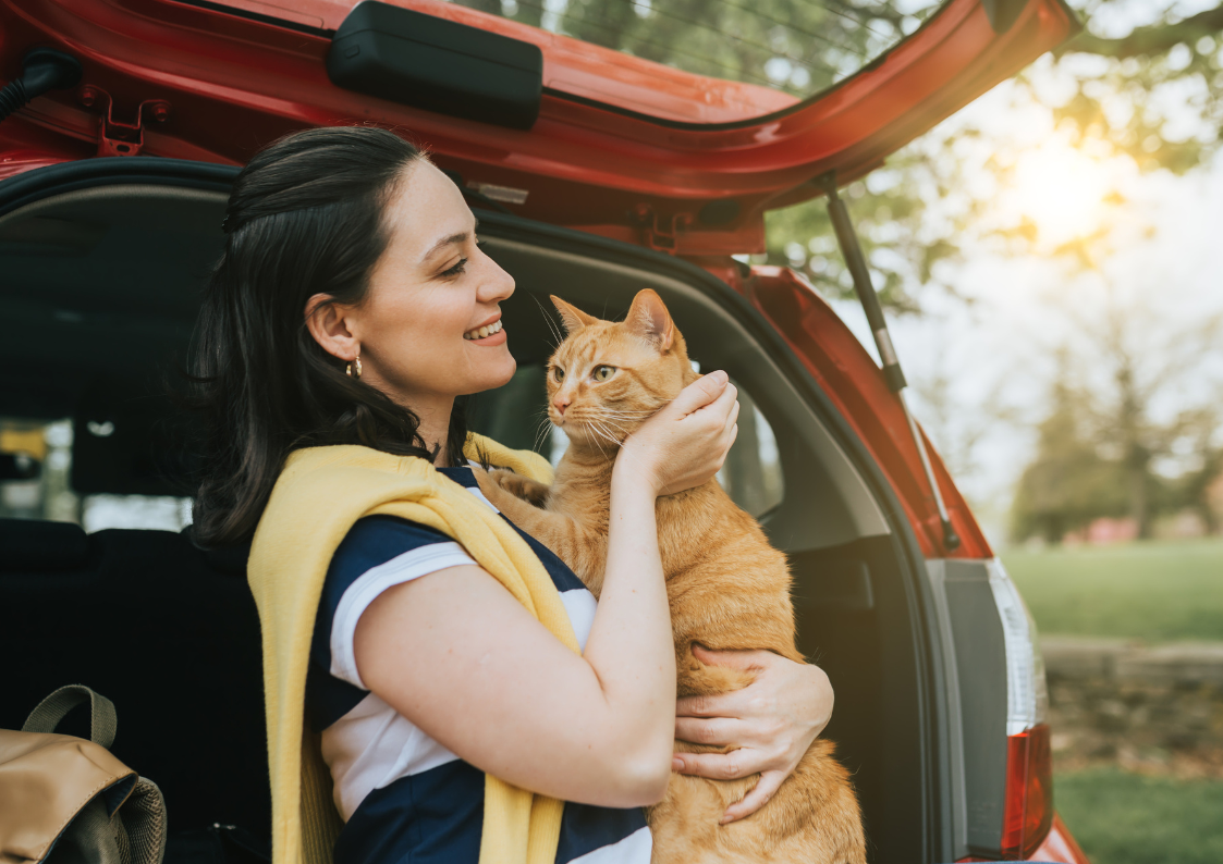 Reisen mit Tieren: Tipps und Tricks