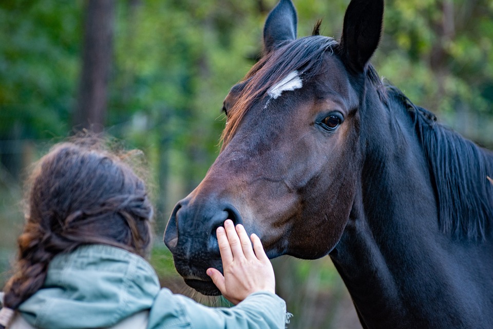 Voltigieren: Gymnastik auf dem Pferd